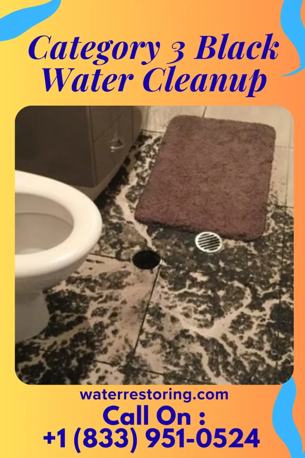 Category 3 Black Water Cleanup in Ocean Pines, MD