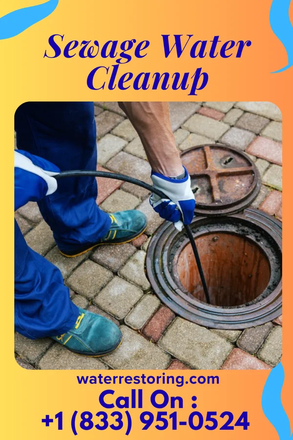Sewage Water Cleanup in Ocean Pines, MD